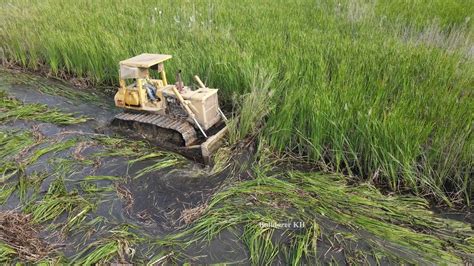 Best Amazing Bulldozer Komatsu D P Fight Forestry Clearing Land