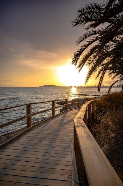 Disparo Vertical De Un Paseo Mar Timo Rodeado De Palmeras En Una Playa