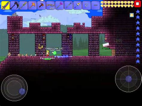 Terraria Wtf Wyvern Youtube