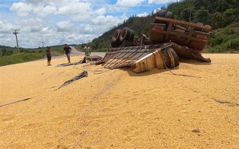 Carreta Bitrem Carregada De Milho Tomba Na BR 163 Em Novo Progresso