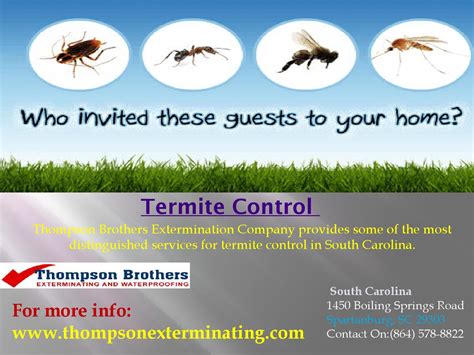 Termite Control Ppt By Thomson Brother Issuu