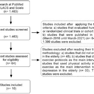 Molecular Mechanisms Of Physical Exercise On Depression In The Elderly