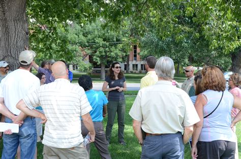 Boulder Shows Signs Of Emerald Ash Borer Impact BeASmartAsh