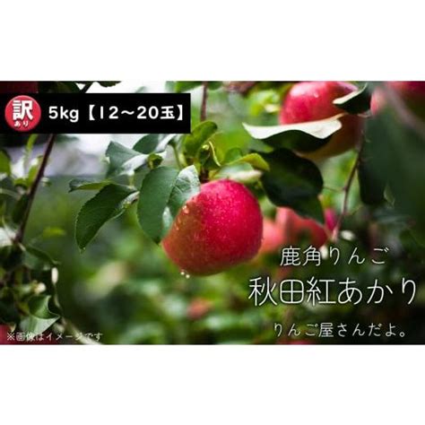 ふるさと納税 秋田県 鹿角市 《先行予約》【訳あり】秋田県鹿角産りんご「秋田紅あかり」家庭用 5kg【りんご屋さんだよ。】リンゴ 完熟 蜜入り