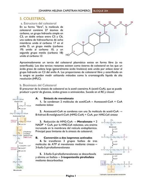 Colesterol Helen C Romero Udocz