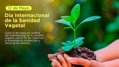 Hoy Se Celebra El D A Internacional De La Sanidad Vegetal Noticias