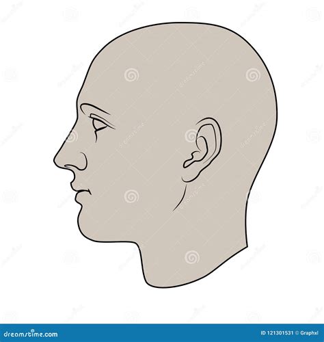 Hand Drawn Human Head In Profile Stock Vector Illustration Of Front