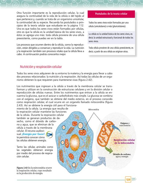 Ciencias Y Tecnolog A Biolog A Primero Telesecundaria