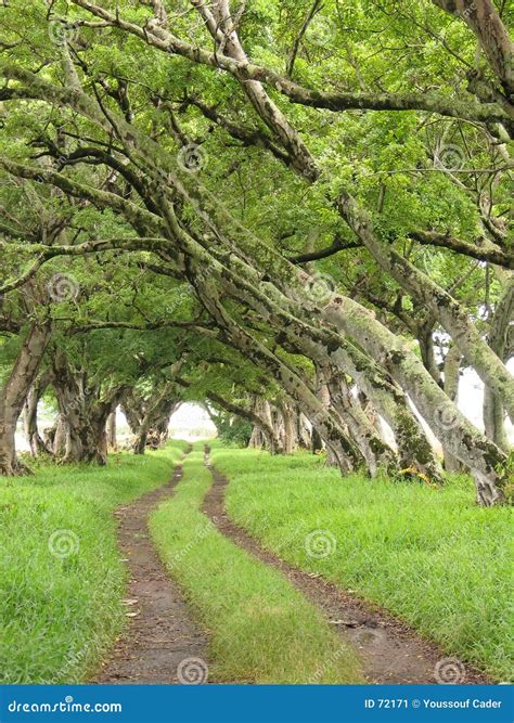 Natural Arch 2 Stock Image Image Of Path Peaceful Trail 72171