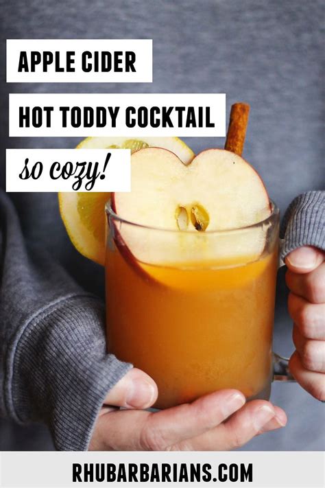 Apple Cider Hot Toddy Artofit