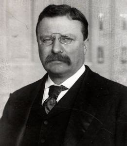 Theodore Roosevelt - The Square Deal | Britannica