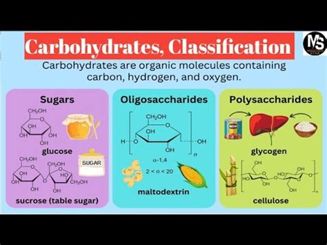 Introduction Classification Of Carbohydrates Biomolecules