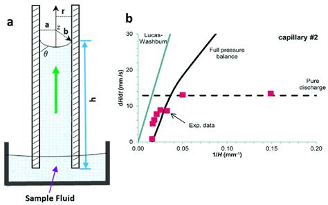 Capillary Driven Flow Dynamics A Schematic Of Capillary Driven Flow Download Scientific