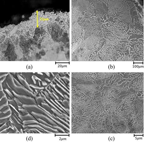 Optical Microscopy And SEM Images Of Case Depth A Optical Microscopy