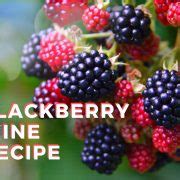 Blackberry Wine Recipe - Juicy, Full Bodied Red