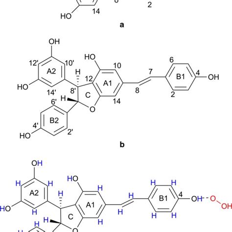 Optimized Structure Of Trans Resveratrol And Gnetin C In Water