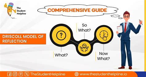 Driscoll Model Of Reflection Ultimate Comprehensive Guide