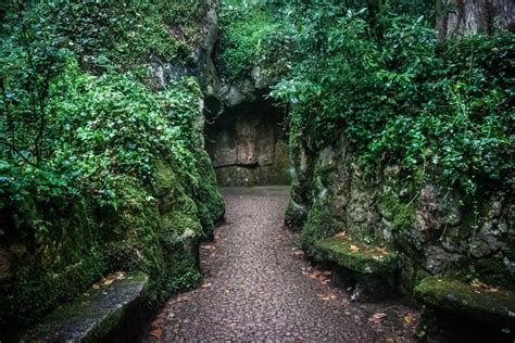 Quinta Da Regaleira Portugal Parks Sintra Bench Moss Hd Wallpaper