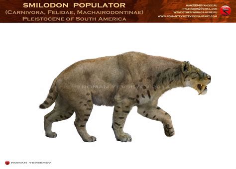 Smilodon Populator By Romanyevseyev On Deviantart