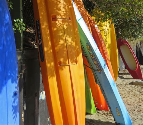 Sconzani Auckland Walks The Herne Bay Beaches