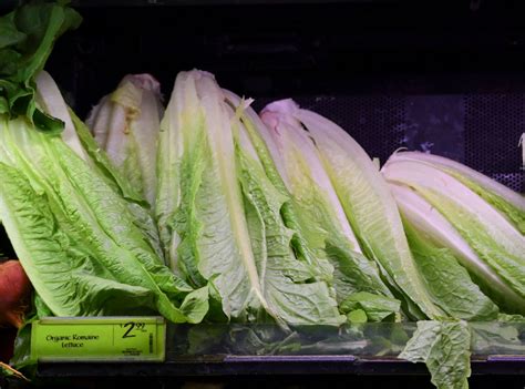 Cdc Warns Consumers Not To Eat Romaine Lettuce Grown In Salinas