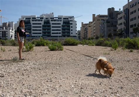 Alerta En El Cañaveral Por El Envenenamiento De Perros Han Muerto Dos La Gente Ya Tiene Miedo