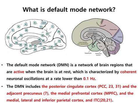 PPT Default Mode Network Spontaneous Fluctuations In FMRI Brain