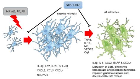 Microgliosis And Astrocytosis Induced By Neurodegenerative Diseases Are