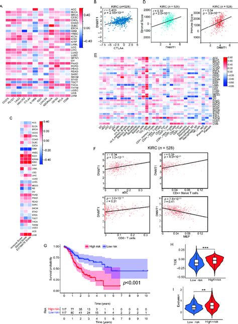 Correlation Analysis Of Dnmt With Immune Checkpoint Genes The Tumor