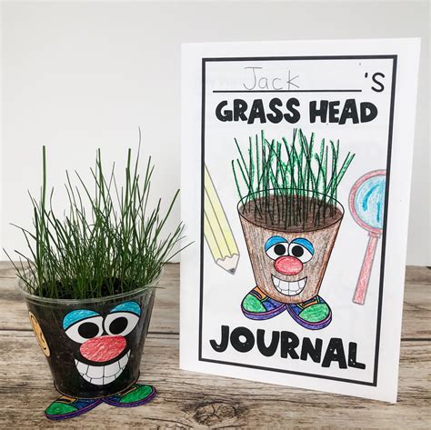 Grass Heads Using Plastic Cups