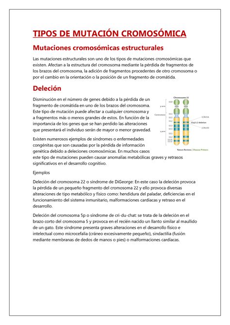 Tipos De Mutaciones Cromosomicas Afectan A La Estructura Del