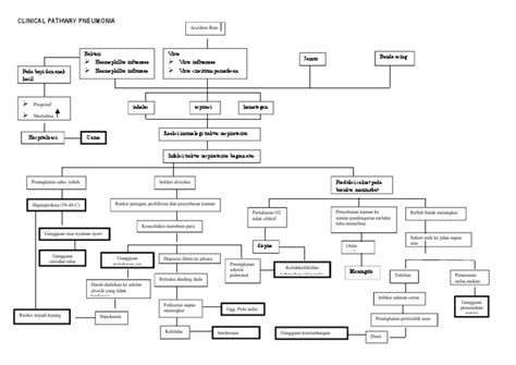 Pathway Pneumonia