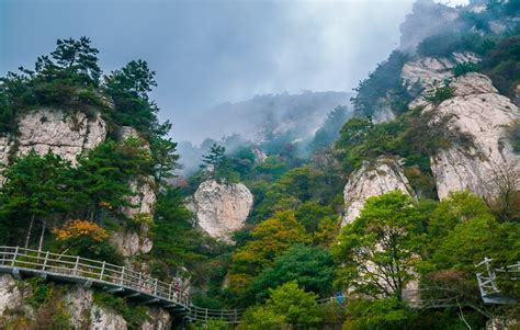 天下之“道”·第7期远赴人间惊鸿宴，“中国顶流”老君山 生态中国网