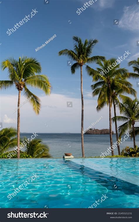 3,249 Hotel Pool Photography Images, Stock Photos & Vectors | Shutterstock