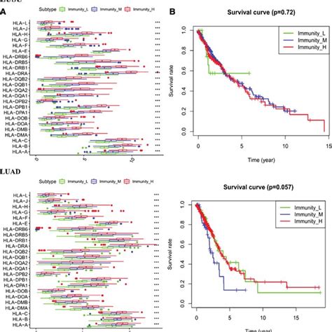 Comparison Of Hla Gene Expression Levels And Survival Prognosis Among Download Scientific