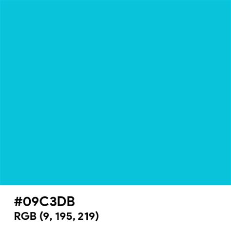 Ocean Water color hex code is #09C3DB