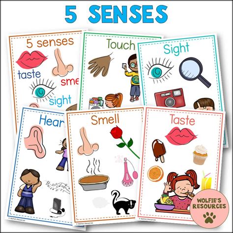 50 Science Posters for Kindergarten and Homeschool - Etsy