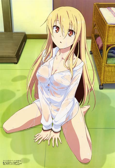 Shiina Mashiro Sakura Sou No Pet Na Kanojo And Etc Drawn By Fujii