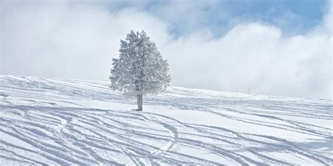 10 Wonderful Winter Vacation Spots in Colorado | Winter Vacation Ideas ...