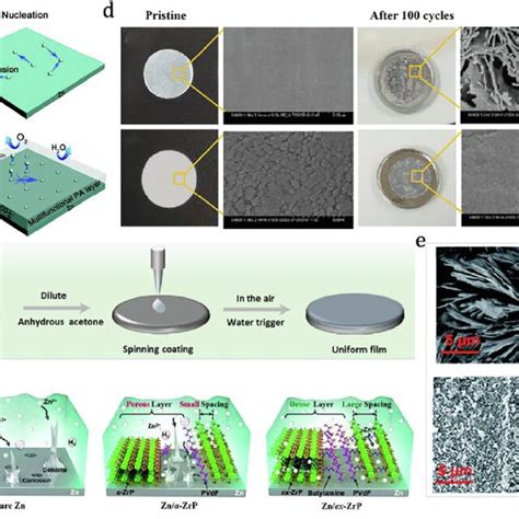 A Schematics Of The Behavior Of Bare Zn And Zn In Anodes In An