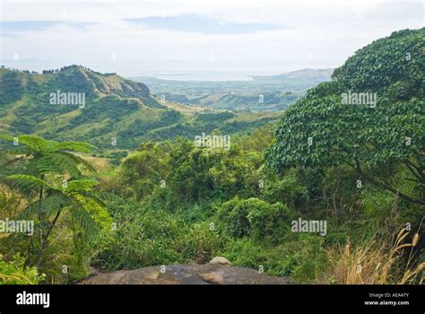 Fiji Islands South Southsea Sea Pacific Wild Wilderness Rainforest At