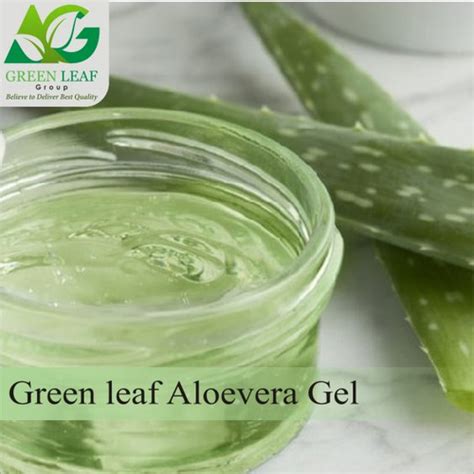 Aloe Vera Gel Age Group For Adults At Best Price In Lunavada Jagdamba Herbal