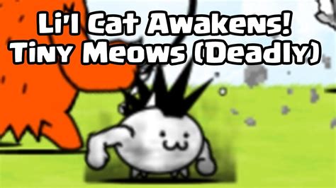 The Battle Cats Lil Cat Awakens Tiny Meows Deadly Youtube