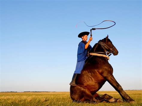 Hungarian Horsemen A Display Of Power And Agility Horseman Hungary