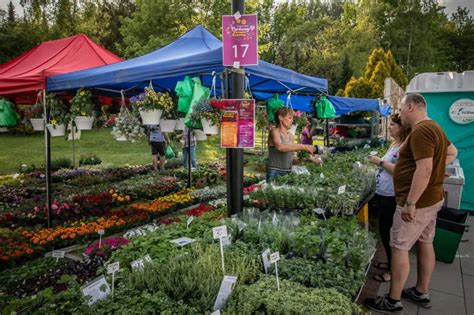 W Parku L Skim Ruszy Parkowy Kiermasz Kwiat W Zapraszamy Przez Ca Y