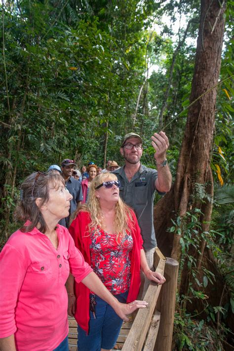 Daintree Rainforest Tours | Cape Tribulation | 4WD Bloomfield Track