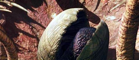 Sarlacc Star Wars Wiki