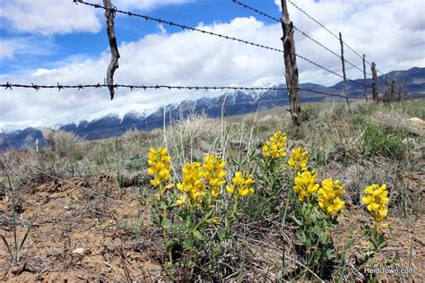 Living History in the San Luis Valley of Colorado, Part One