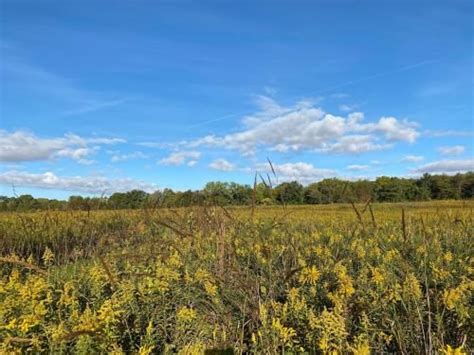 Macomb Park District Lakeview Nature Area