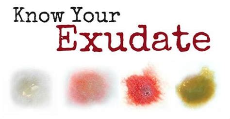 Exudate The Type And Amount Is Telling You Something Wound Care